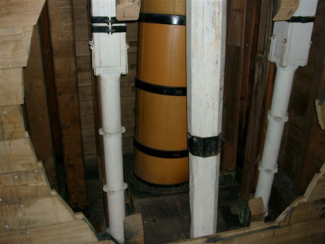 viola-victory_429.jpg
